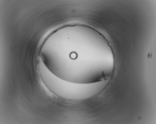 X0000113951392200910161928