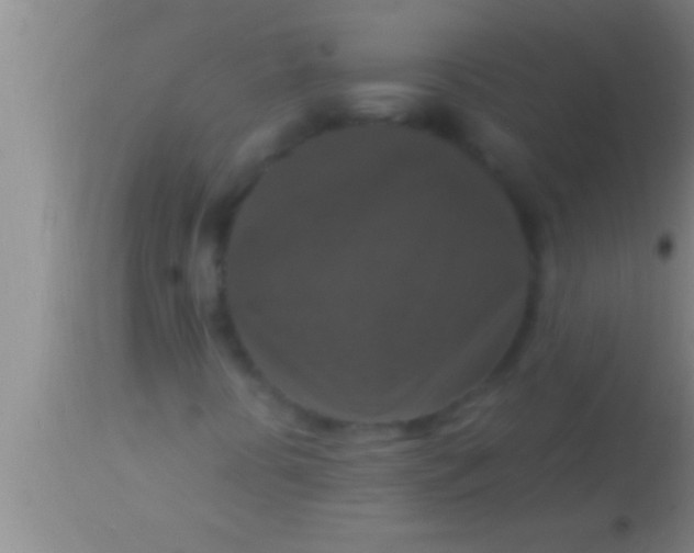 X0000113951394200910161928