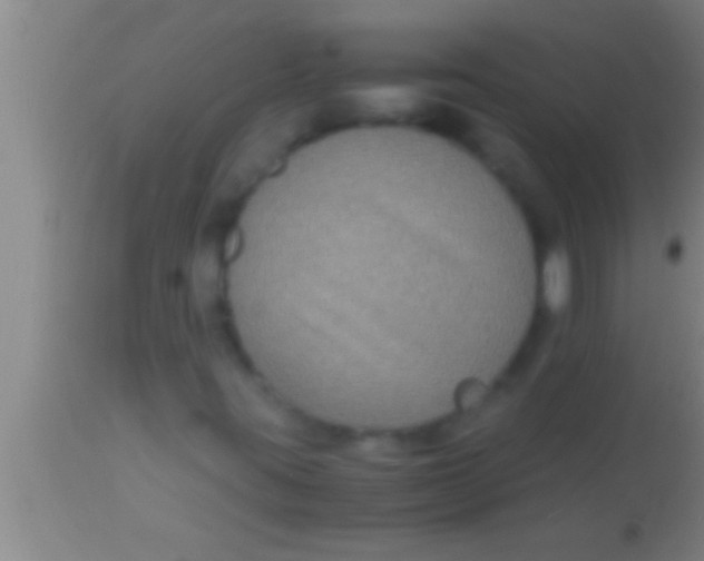 X0000113951395200910161928