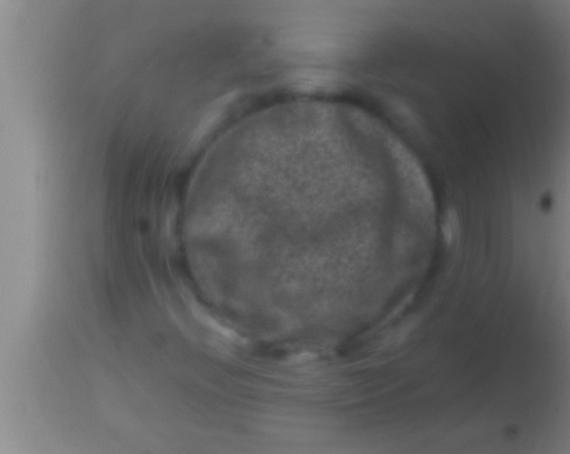 X0000113951396200910161928