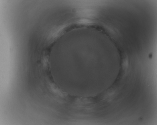 X0000113951397200910161928