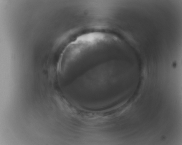 X0000113951398200910161928