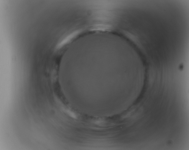 X0000113951399200910161928