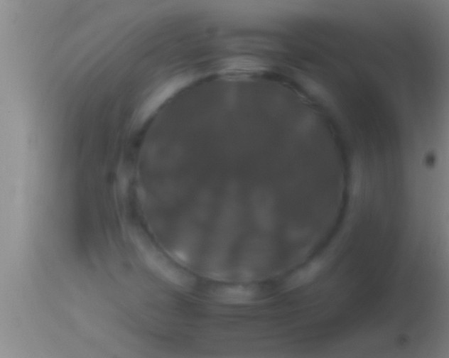 X0000113951401200910161928