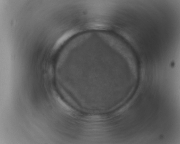 X0000113951402200910161928