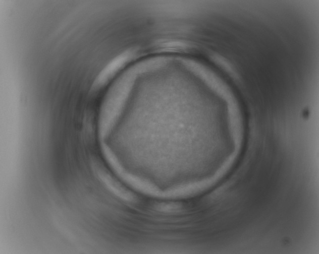 X0000113951403200910161928