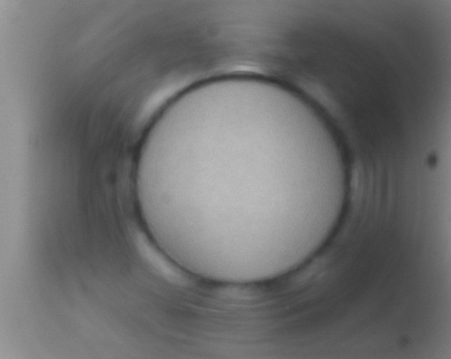 X0000113951404200910161928