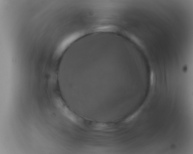 X0000113951405200910161928