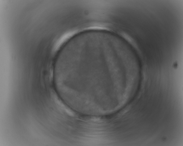 X0000113951408200910161928