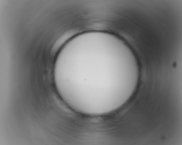 X0000113951410200910161928