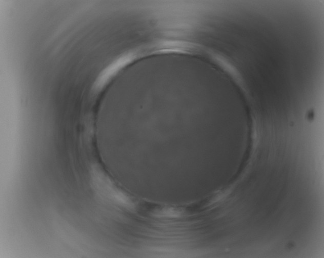 X0000113951411200910161928