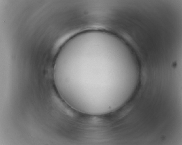 X0000113951412200910161928