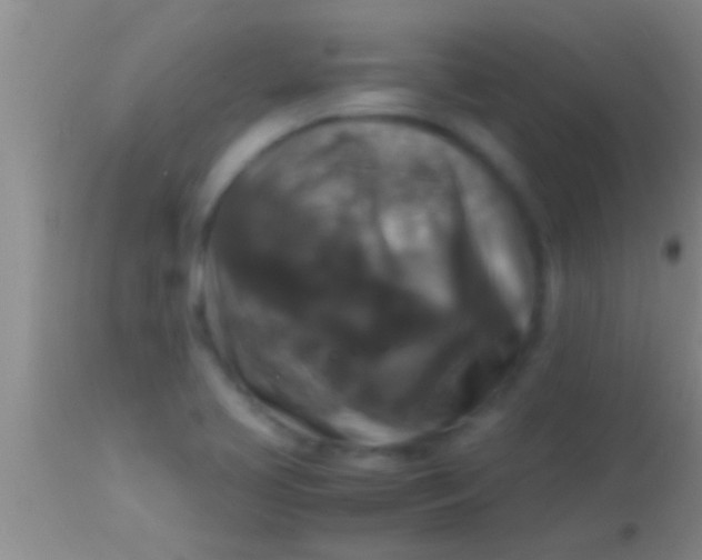 X0000113951413200910161928