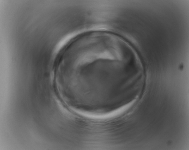 X0000113951414200910161928