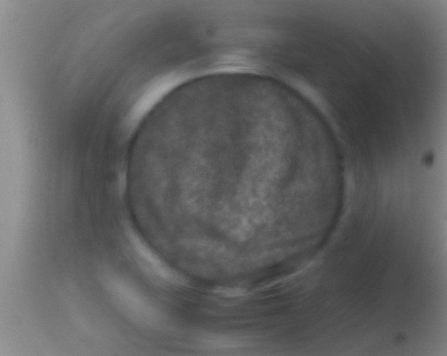 X0000113951415200910161928
