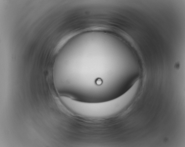 X0000113951417200910161928