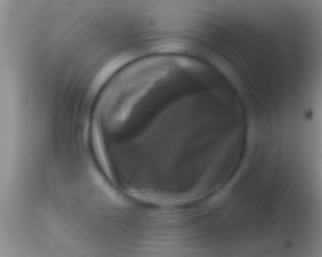 X0000113951418200910161928