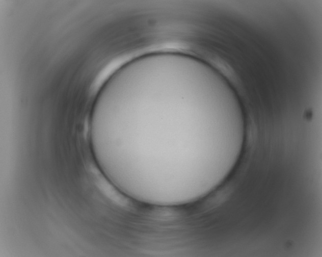 X0000113951420200910161928