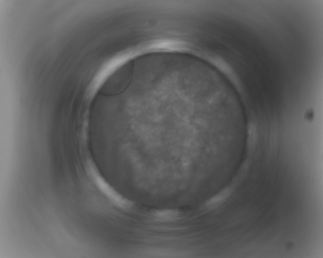 X0000113951421200910161928