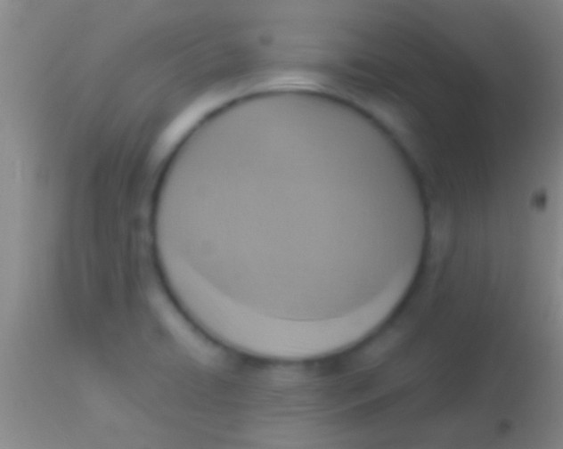 X0000113951422200910161928