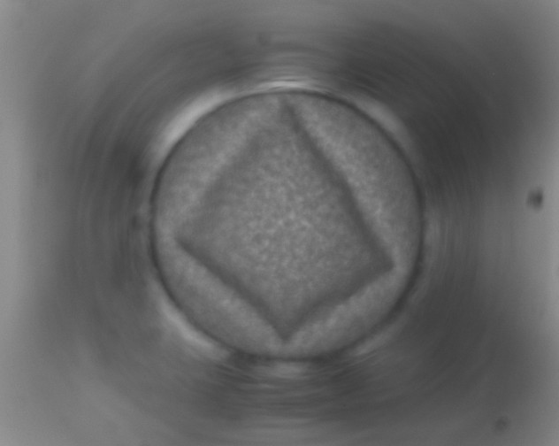 X0000113951423200910161928