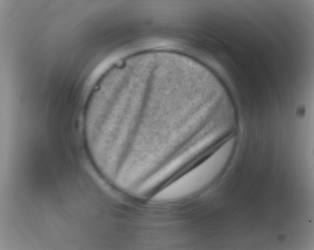 X0000113951424200910161928