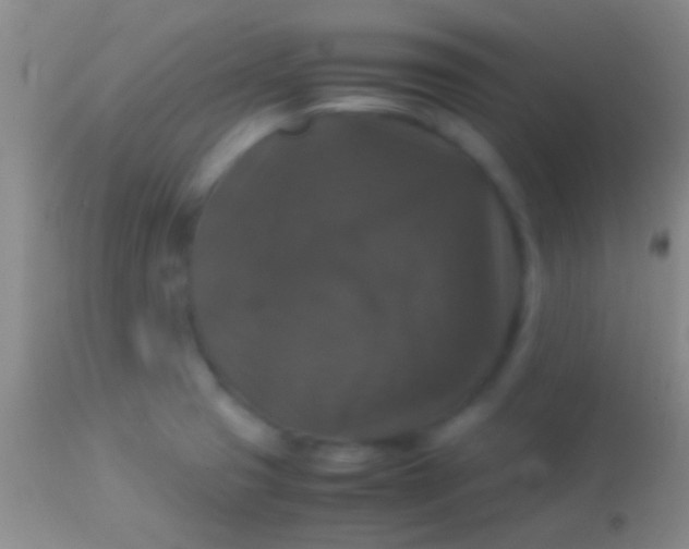 X0000113951425200910161928