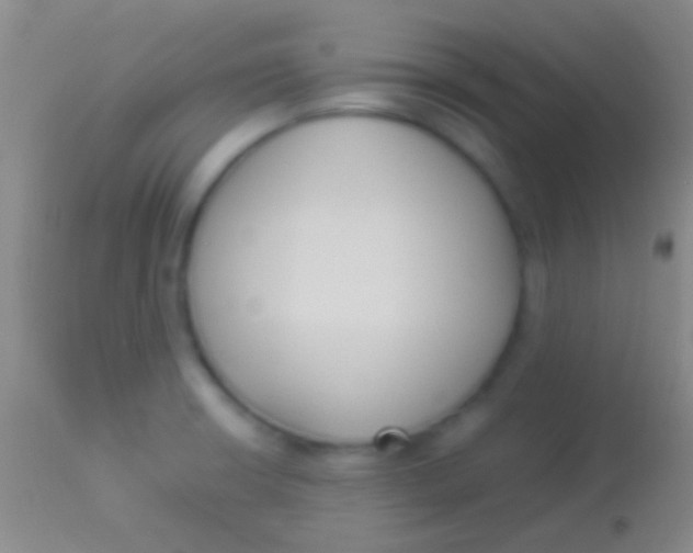 X0000113951426200910161928