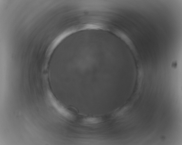 X0000113951427200910161928