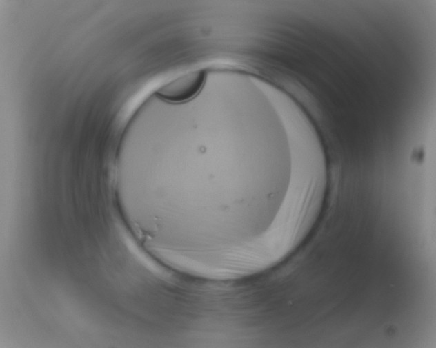 X0000113951428200910161928