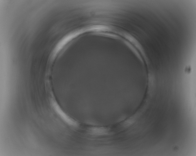 X0000113951429200910161928