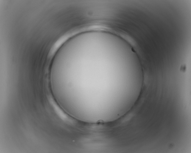 X0000113951430200910161928