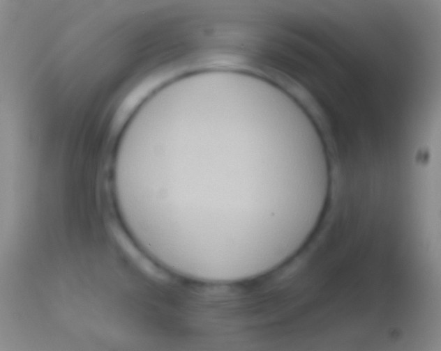 X0000113951432200910161928