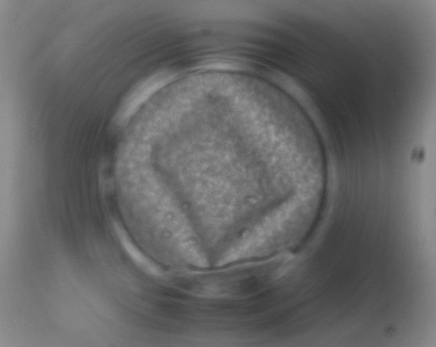 X0000113951433200910161928