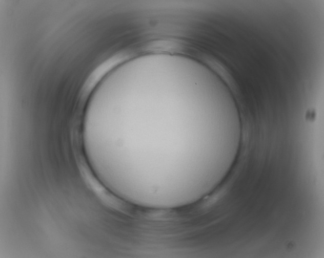 X0000113951434200910161928
