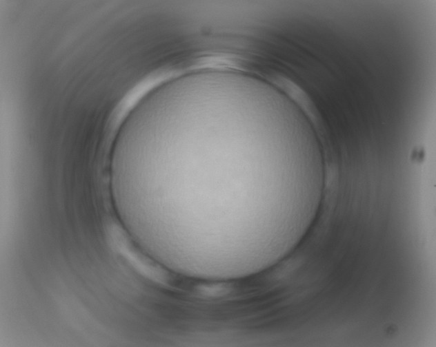 X0000113951435200910161928