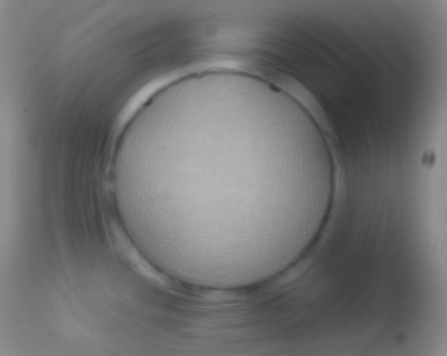 X0000113951436200910161928