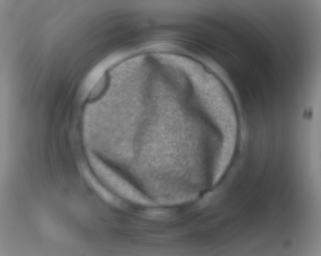 X0000113951437200910161928