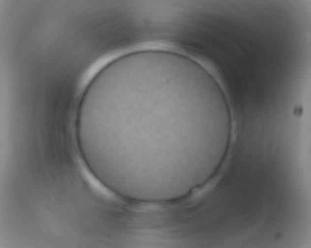 X0000113951438200910161928