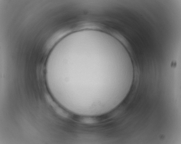 X0000113951439200910161928