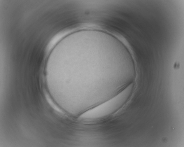 X0000113951440200910161928