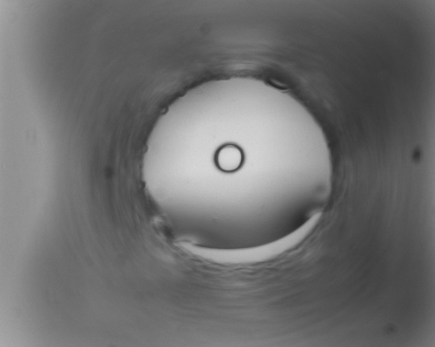 X0000113951441200910161928