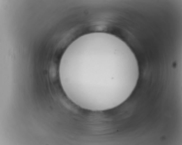 X0000113951442200910161928