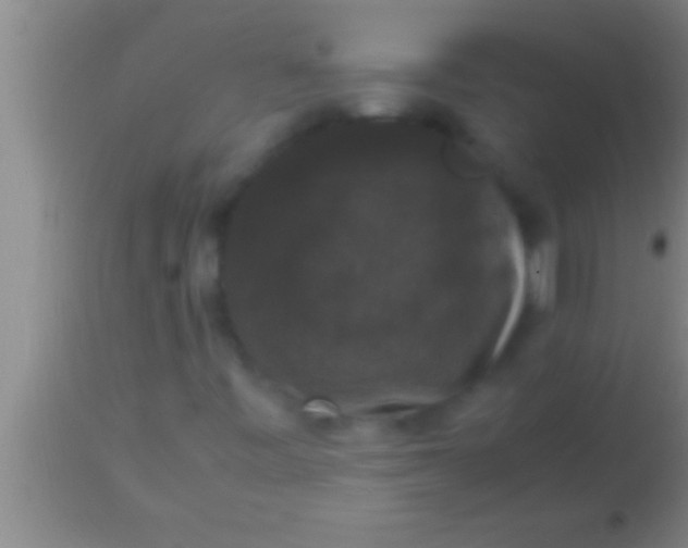 X0000113951443200910161928