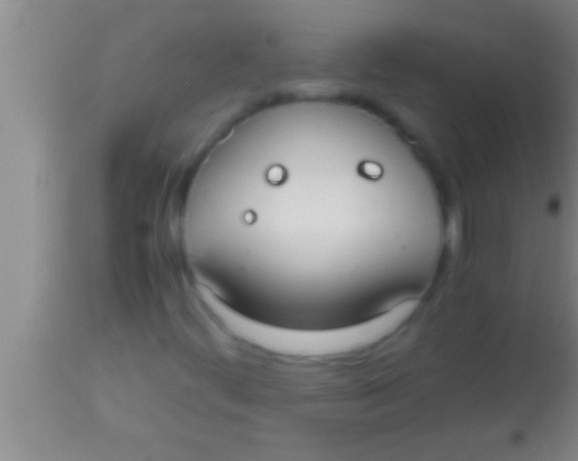 X0000113951444200910161928