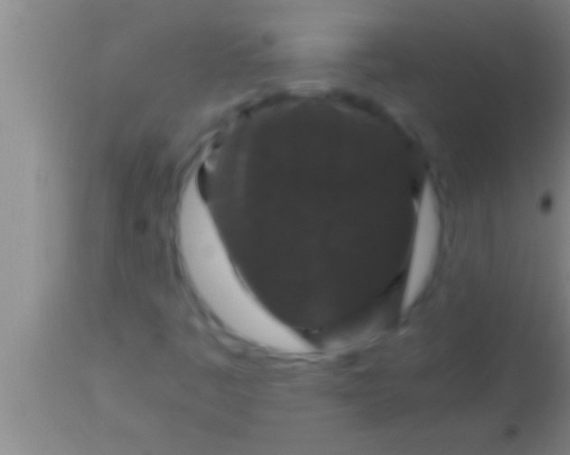 X0000113951445200910161928