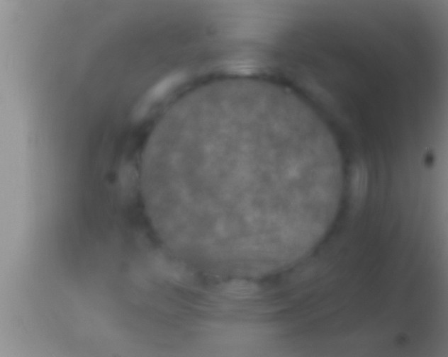 X0000113951446200910161928