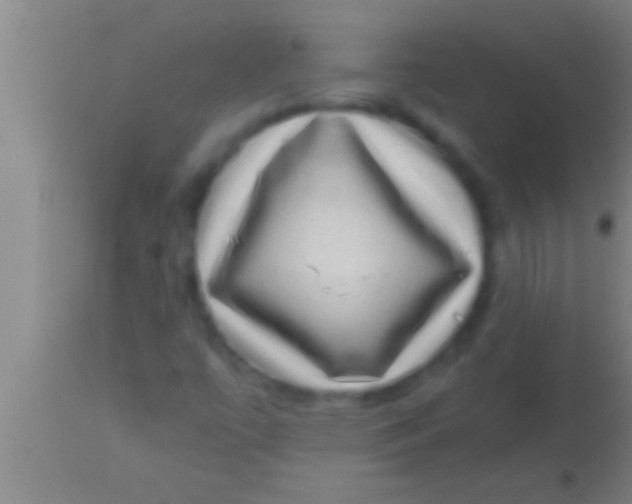 X0000113951447200910161928