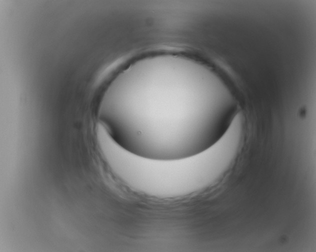 X0000113951448200910161928