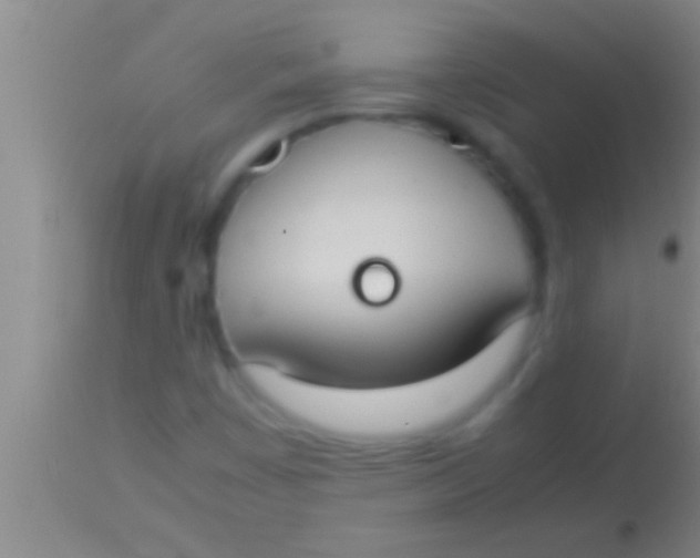 X0000113951449200910161928